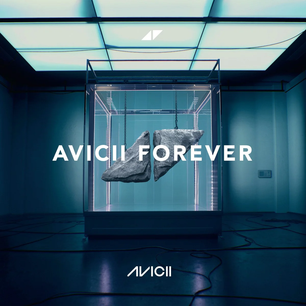 Forever - Image 2