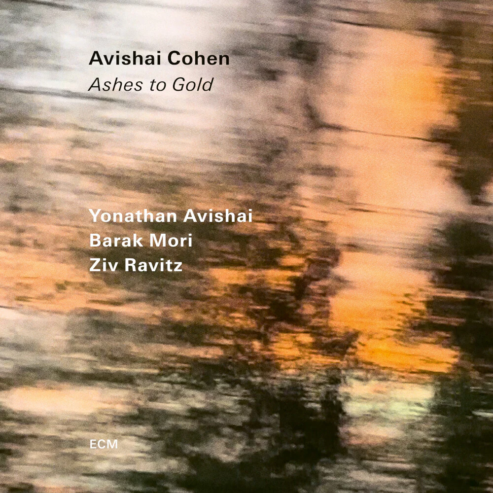 Ashes to Gold - Image 2