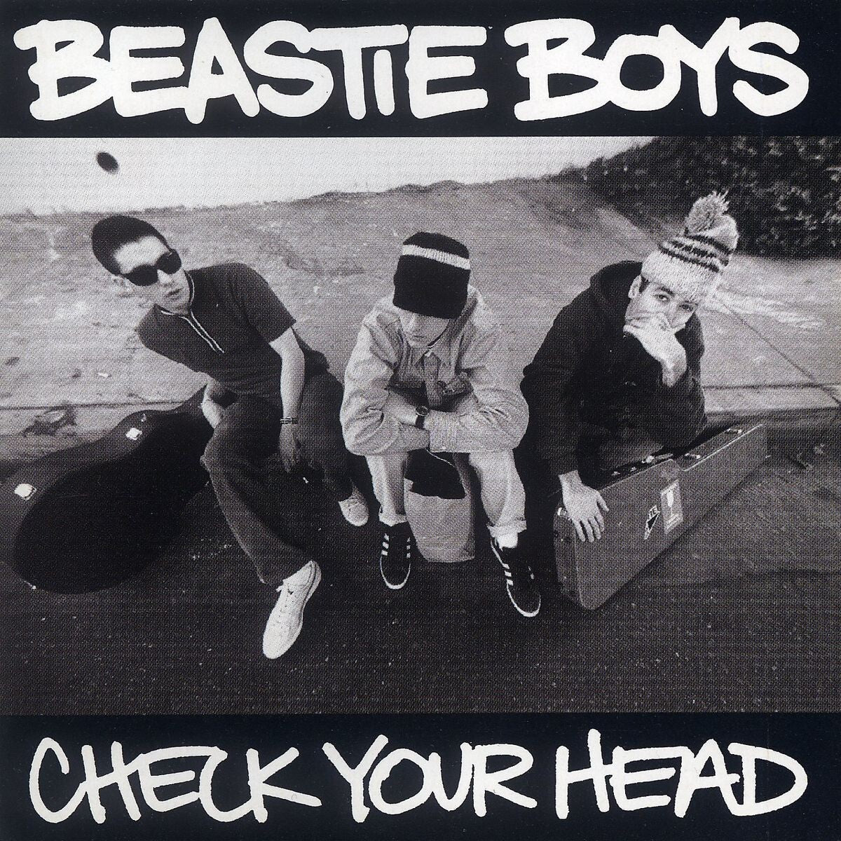 Check Your Head - Image 2