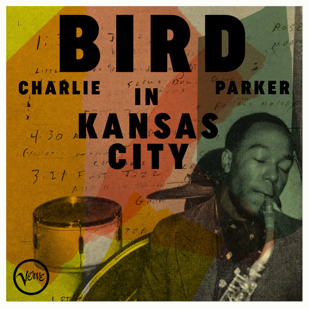 Bird in Kansas City - Image 3
