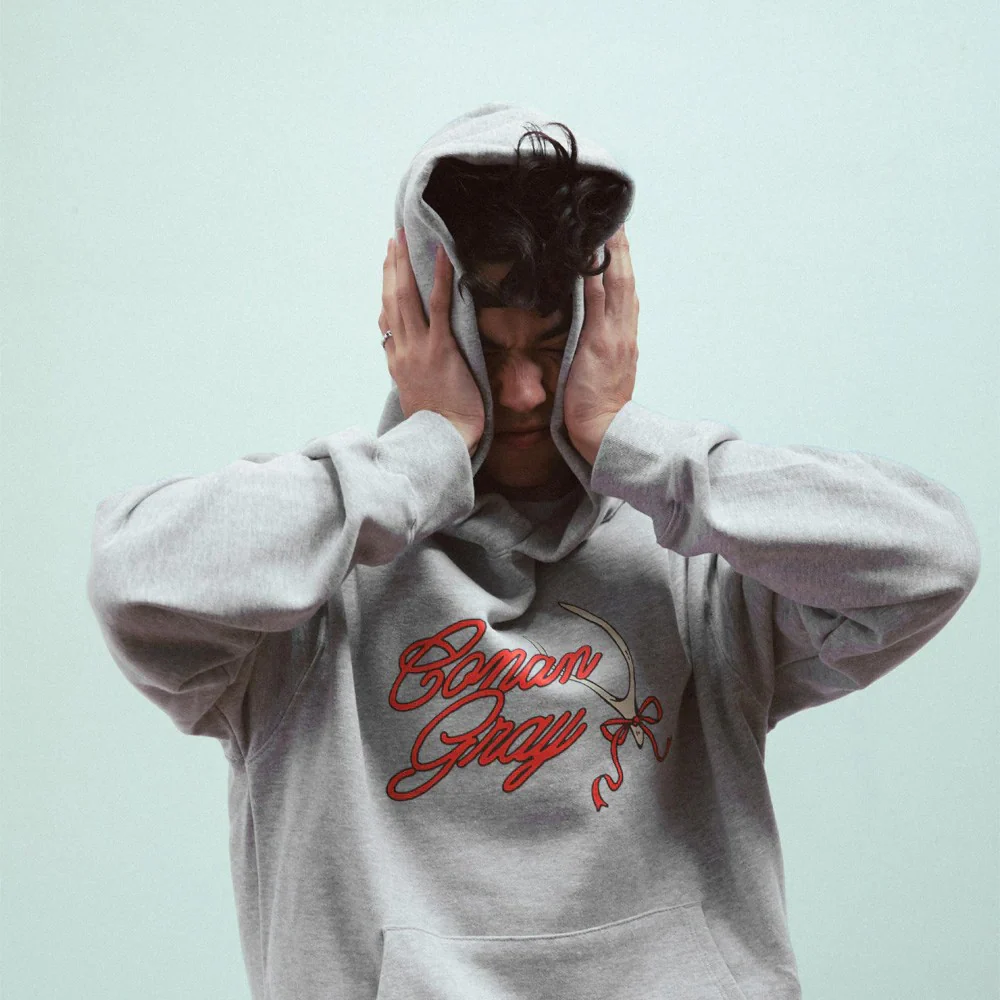 Conan Gray Red Ribbon Wishbone Hoodie