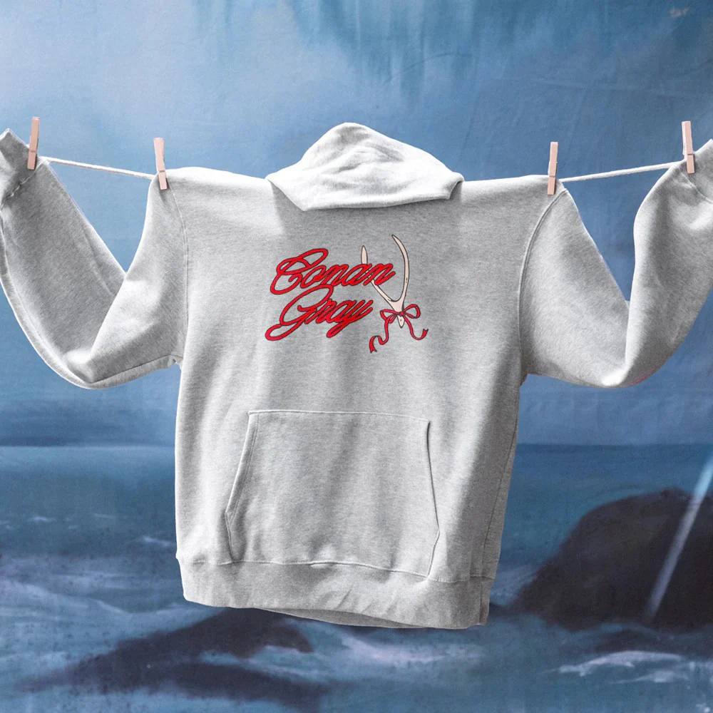 Conan Gray Red Ribbon Wishbone Hoodie - Image 3