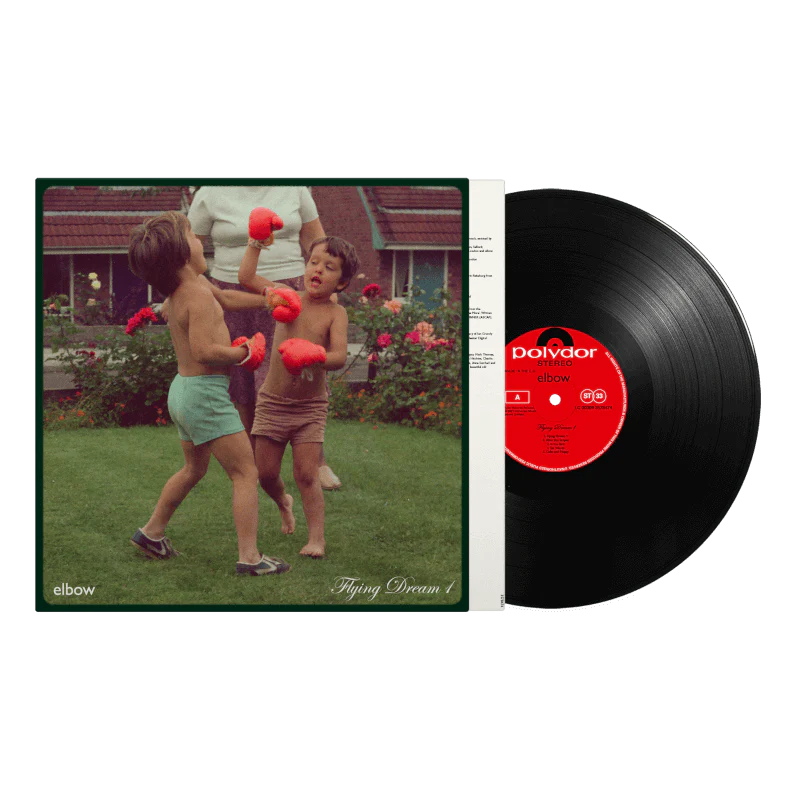 Flying Dream 1 (Standard Black Vinyl LP)