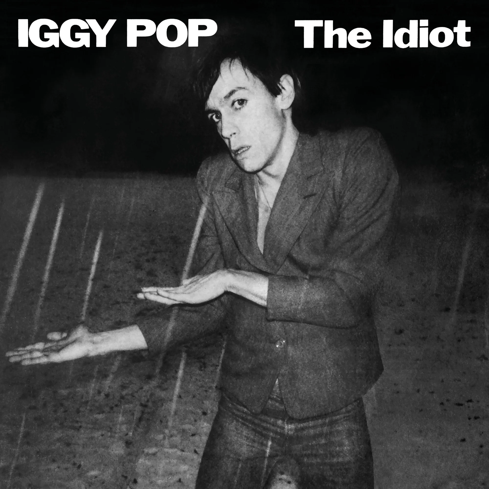 The Idiot - Image 2