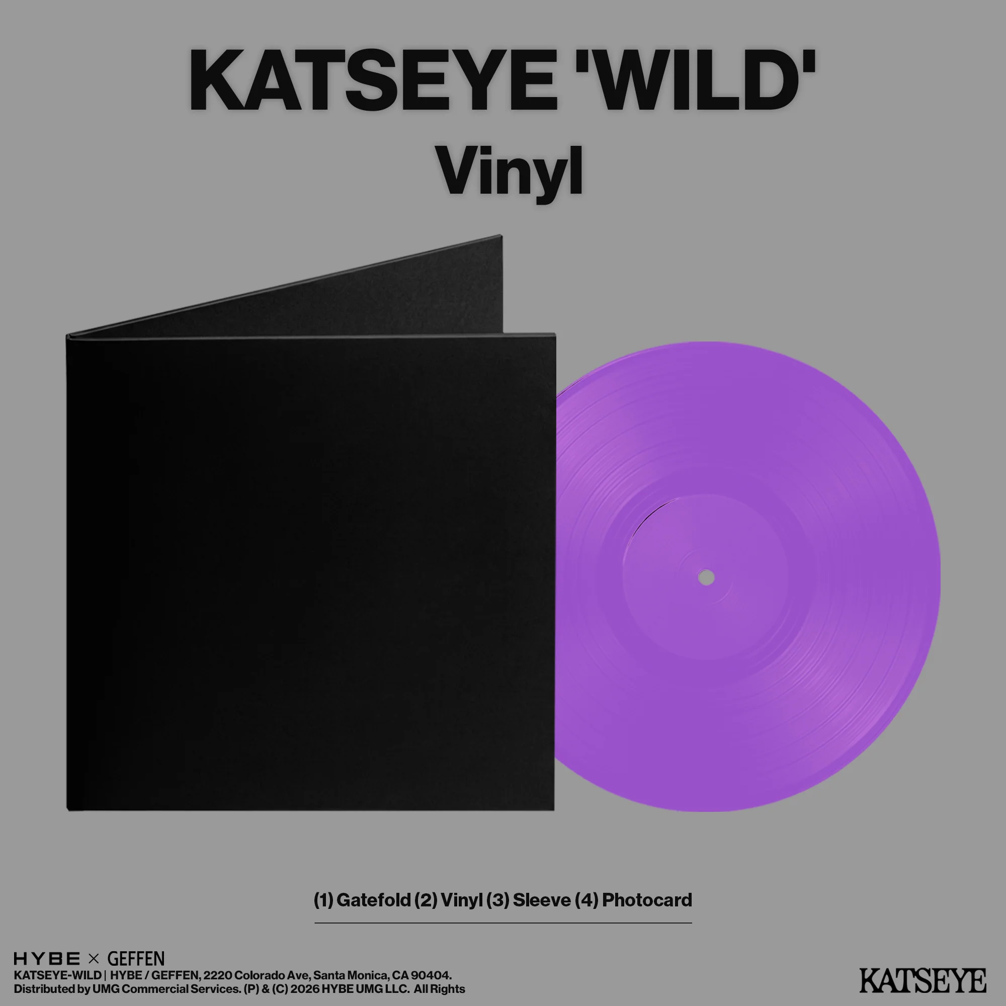WILD - Official Store Exclusive Vinyl + Signed Artcard - Image 3
