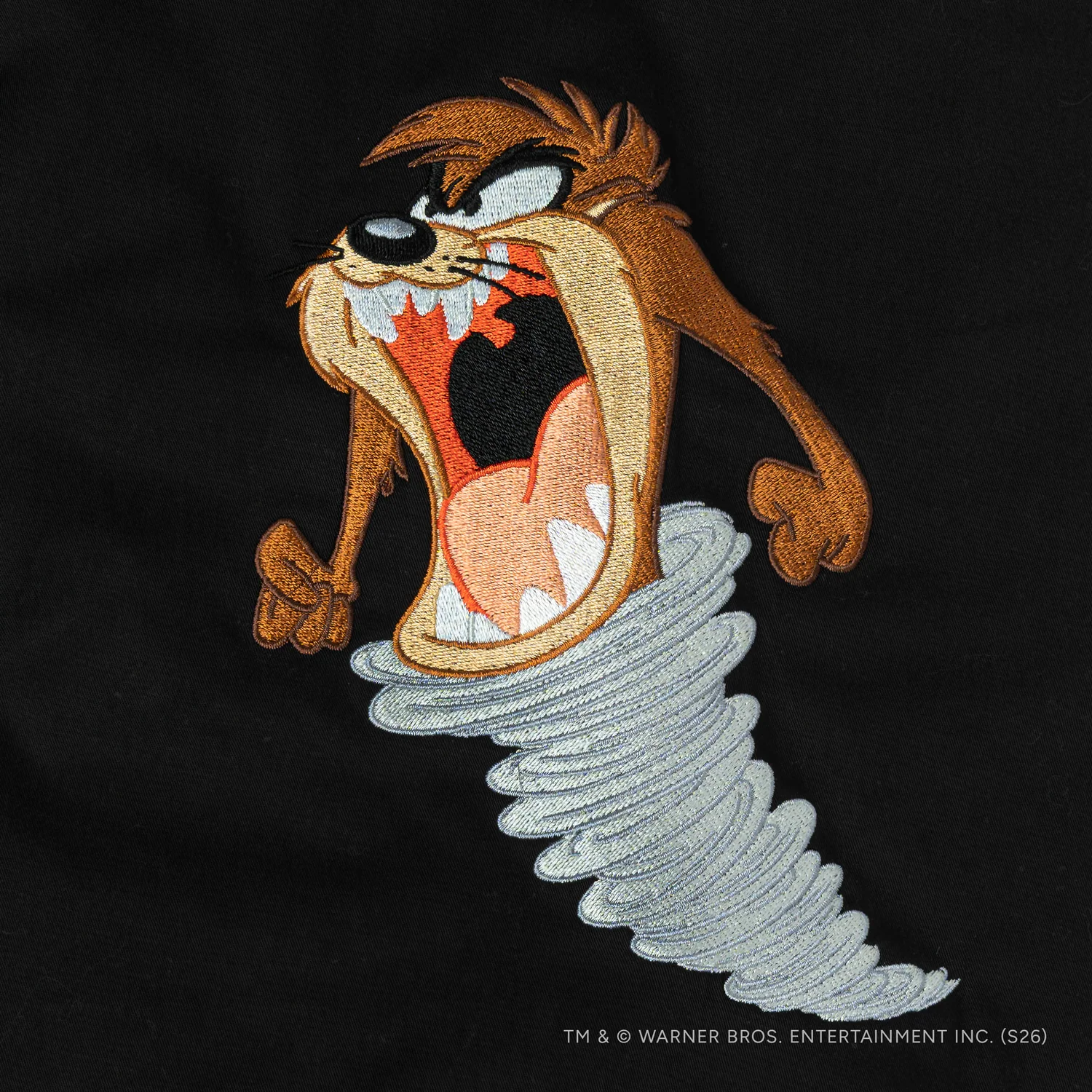 Taz is coming - Image 4