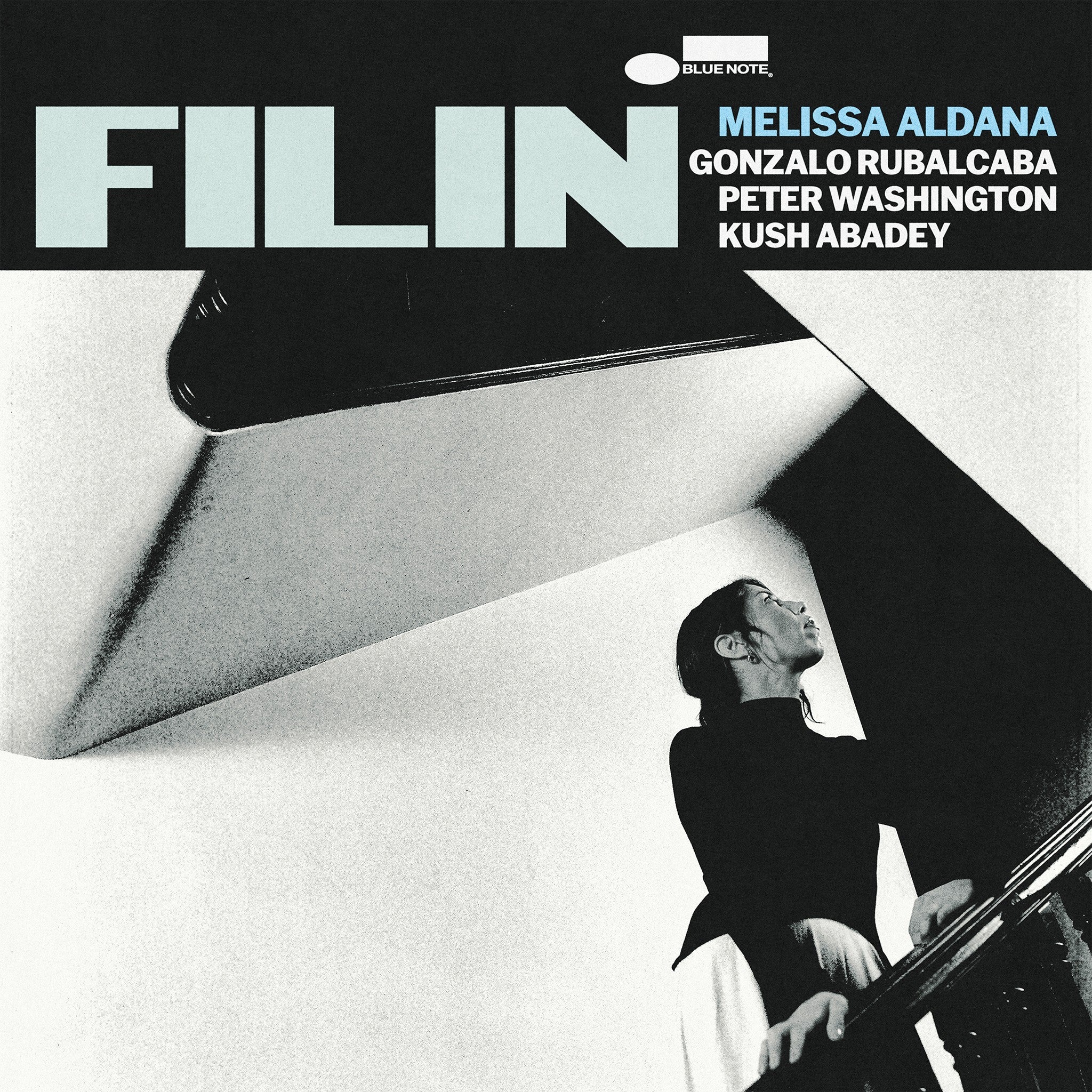 Filin - Image 2