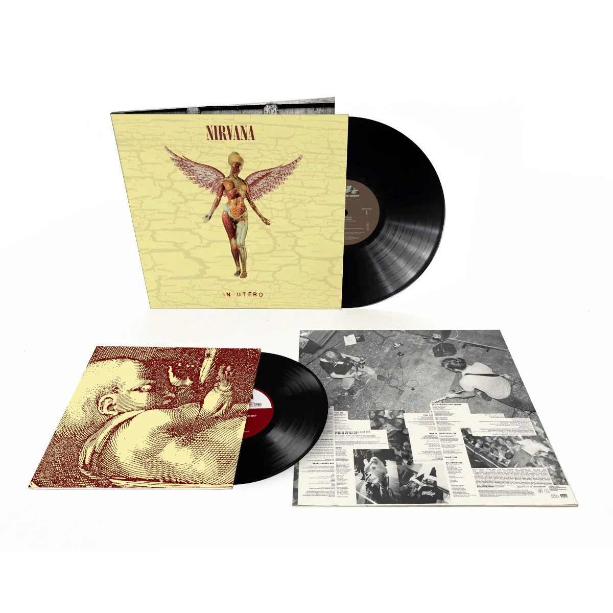 In Utero