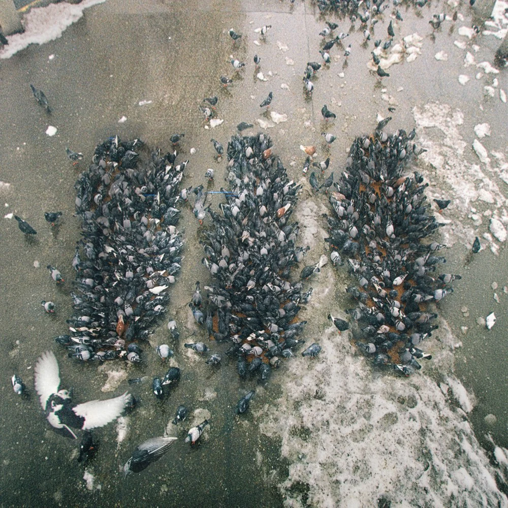 Alone Together - Image 3
