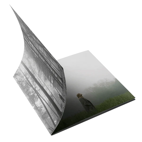 1. The "In The Trees" Edition Deluxe CD - Image 3