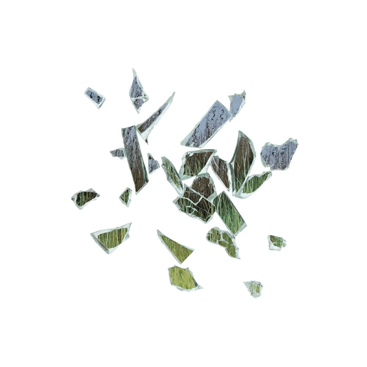 Field of Reeds(10th Anniversary Edition)