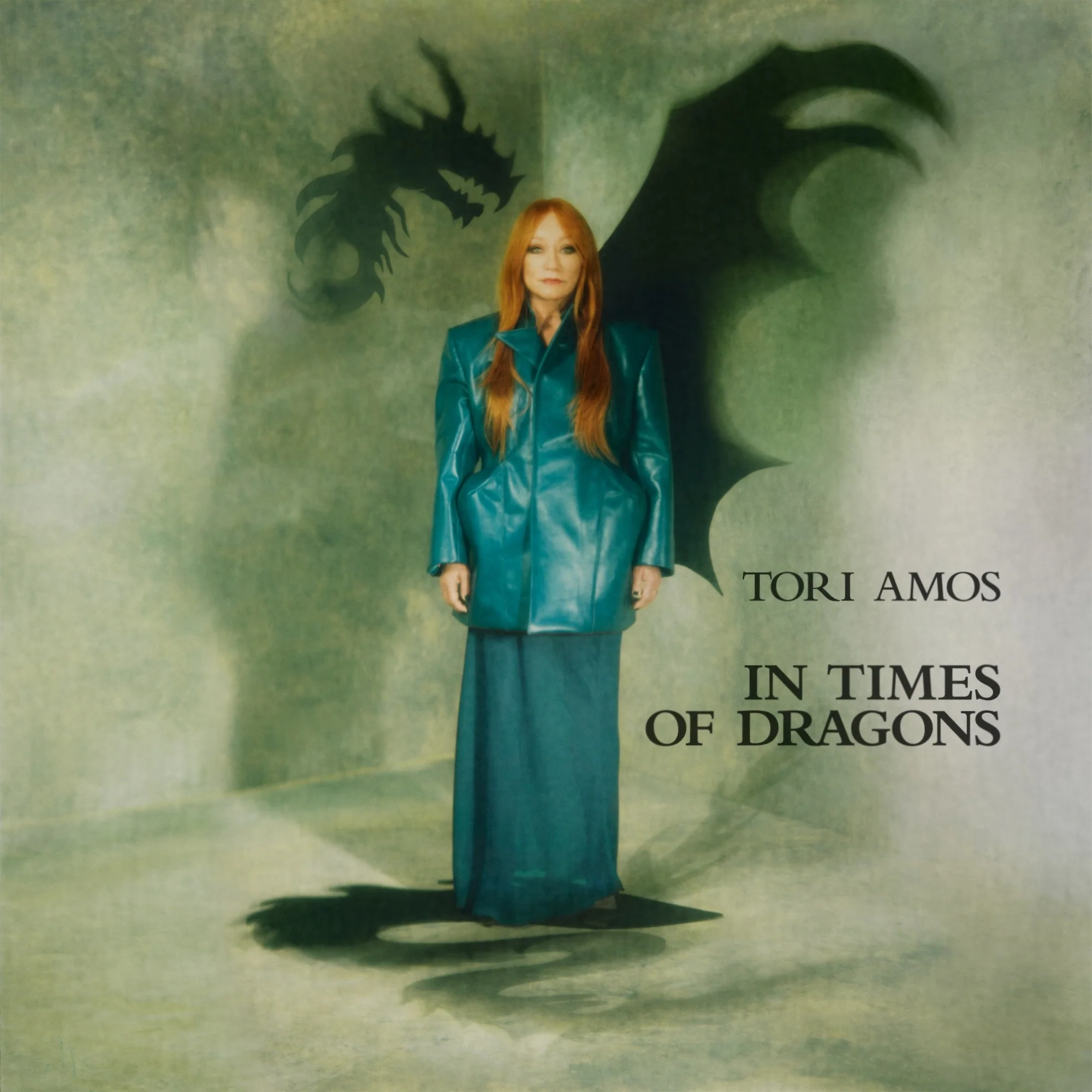 In Times of Dragons - Image 2