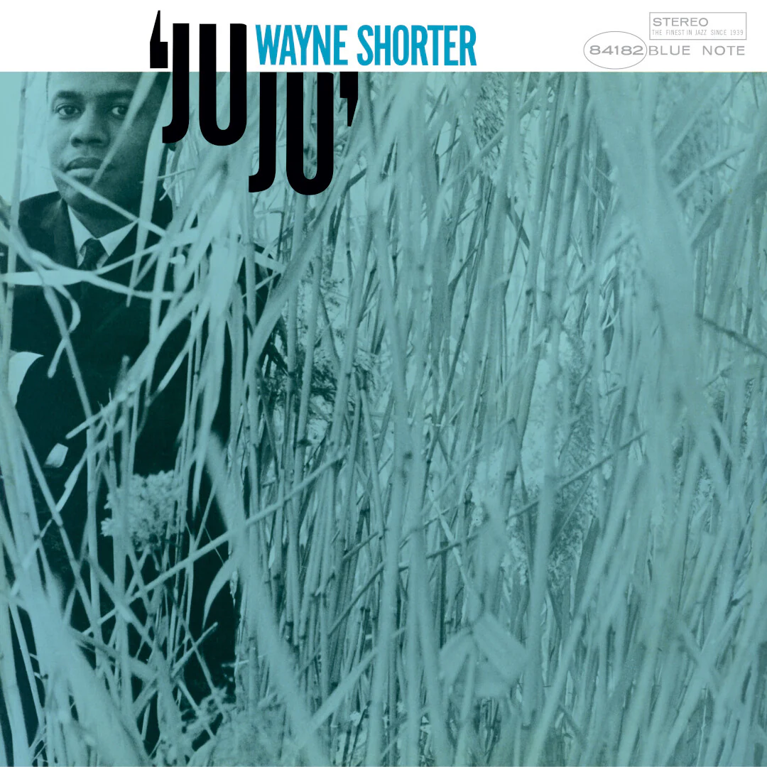 JuJu - Image 2