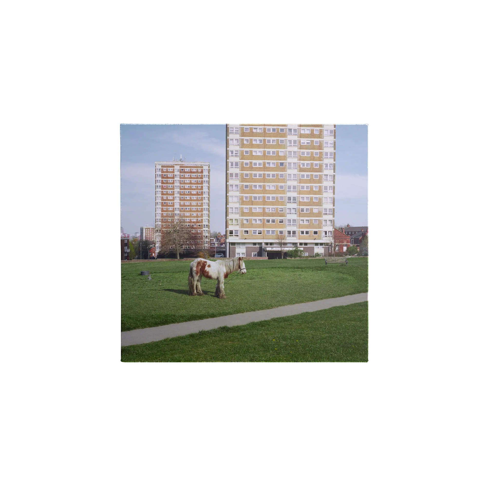 It Goes On - Image 2